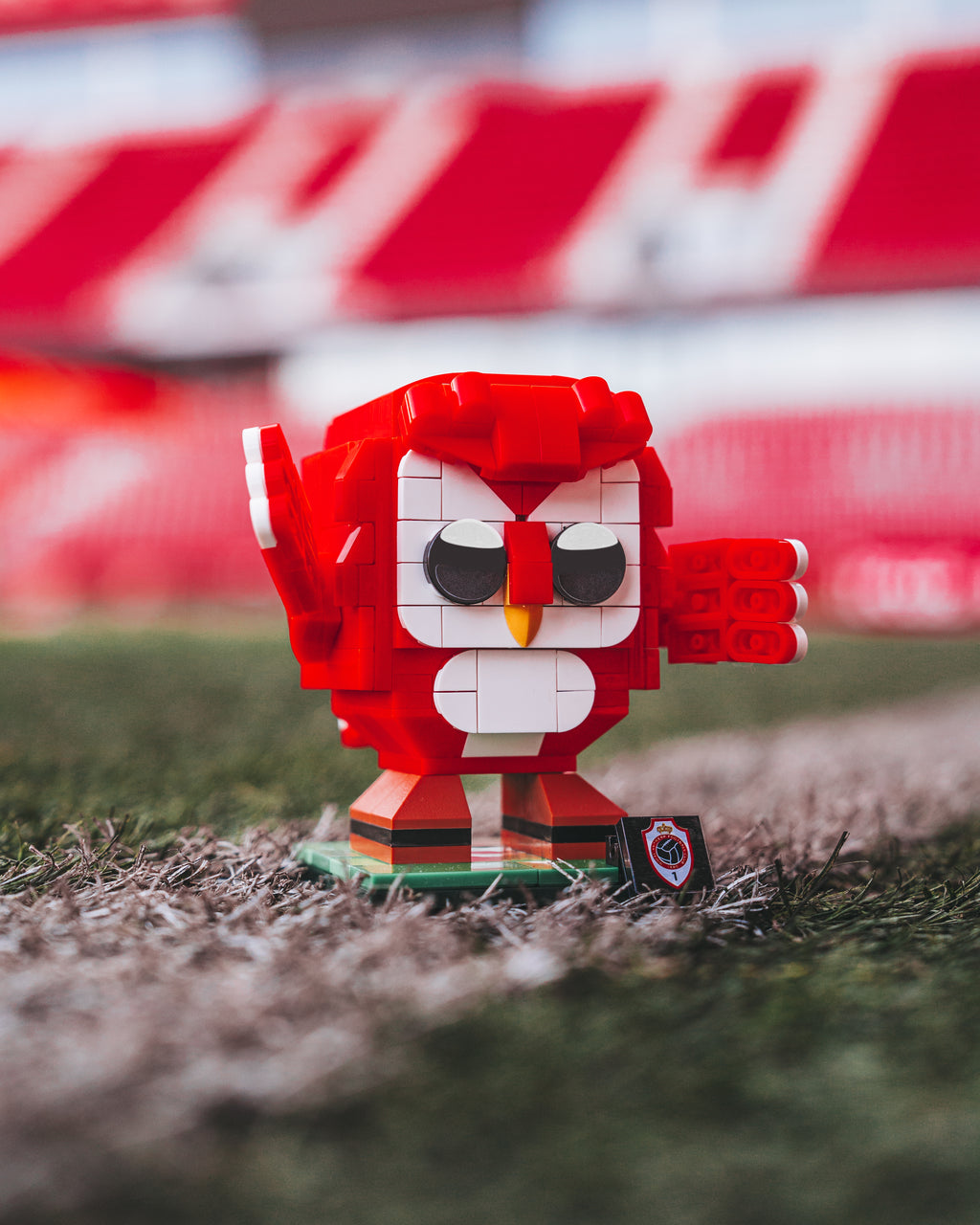 Royal Antwerp FC Bricks 'Bosuil'