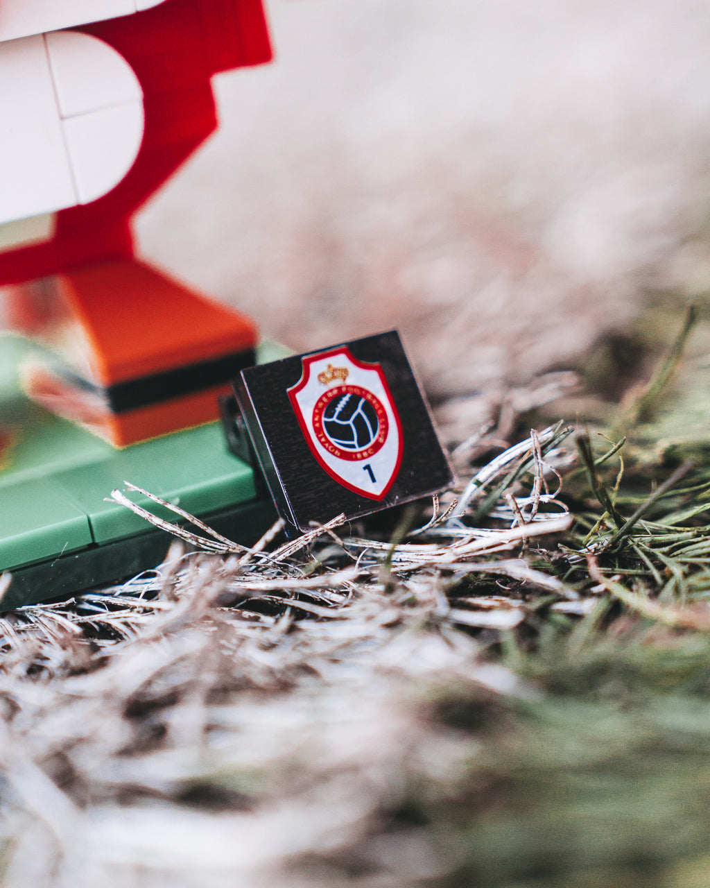 Royal Antwerp FC Bricks 'Bosuil'