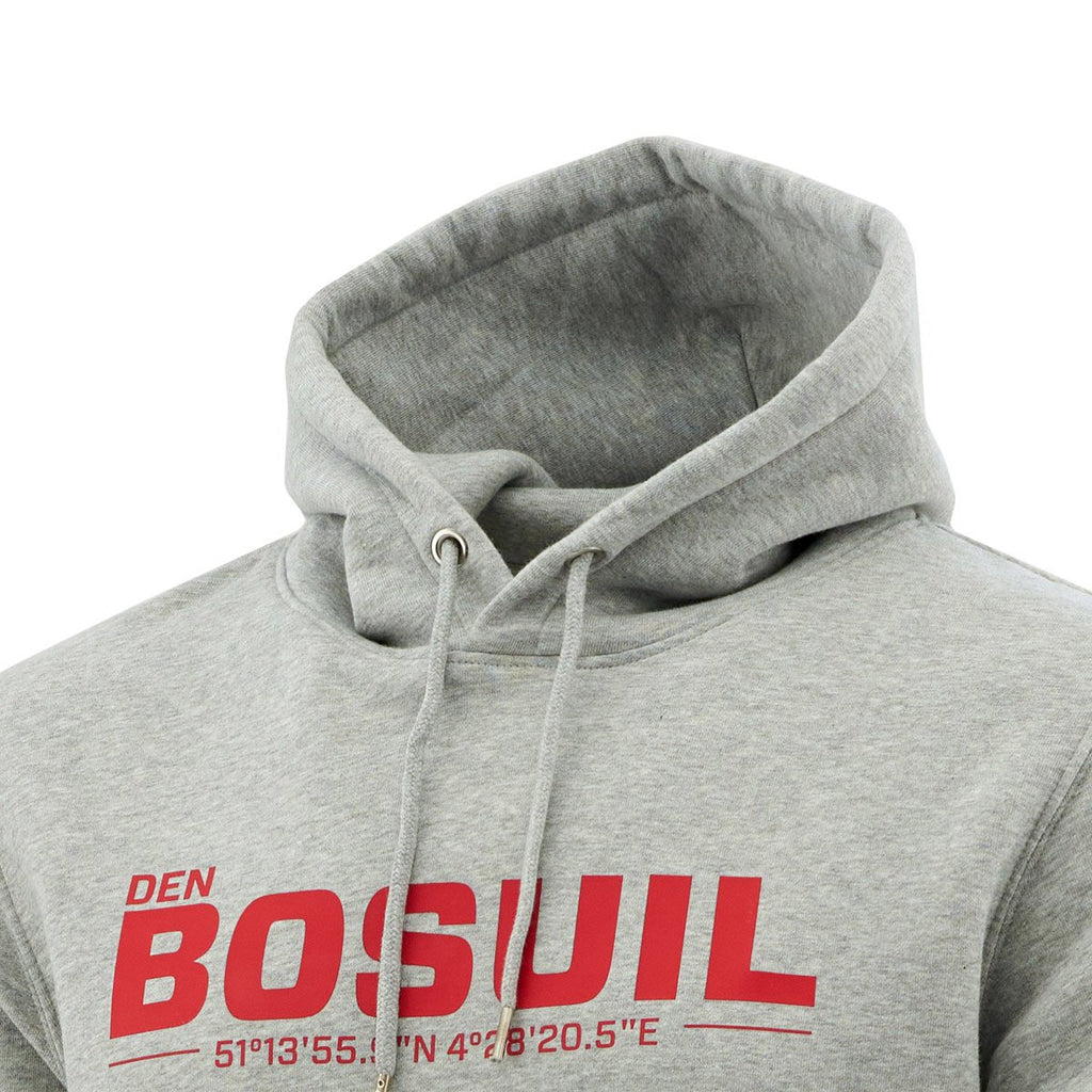 Royal Antwerp Hoodie grijs DEN BOSUIL geo