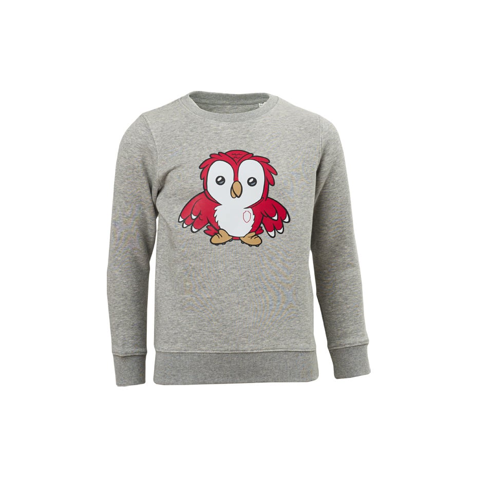 Royal Antwerp Sweater Grijs Bosuil - KIDS