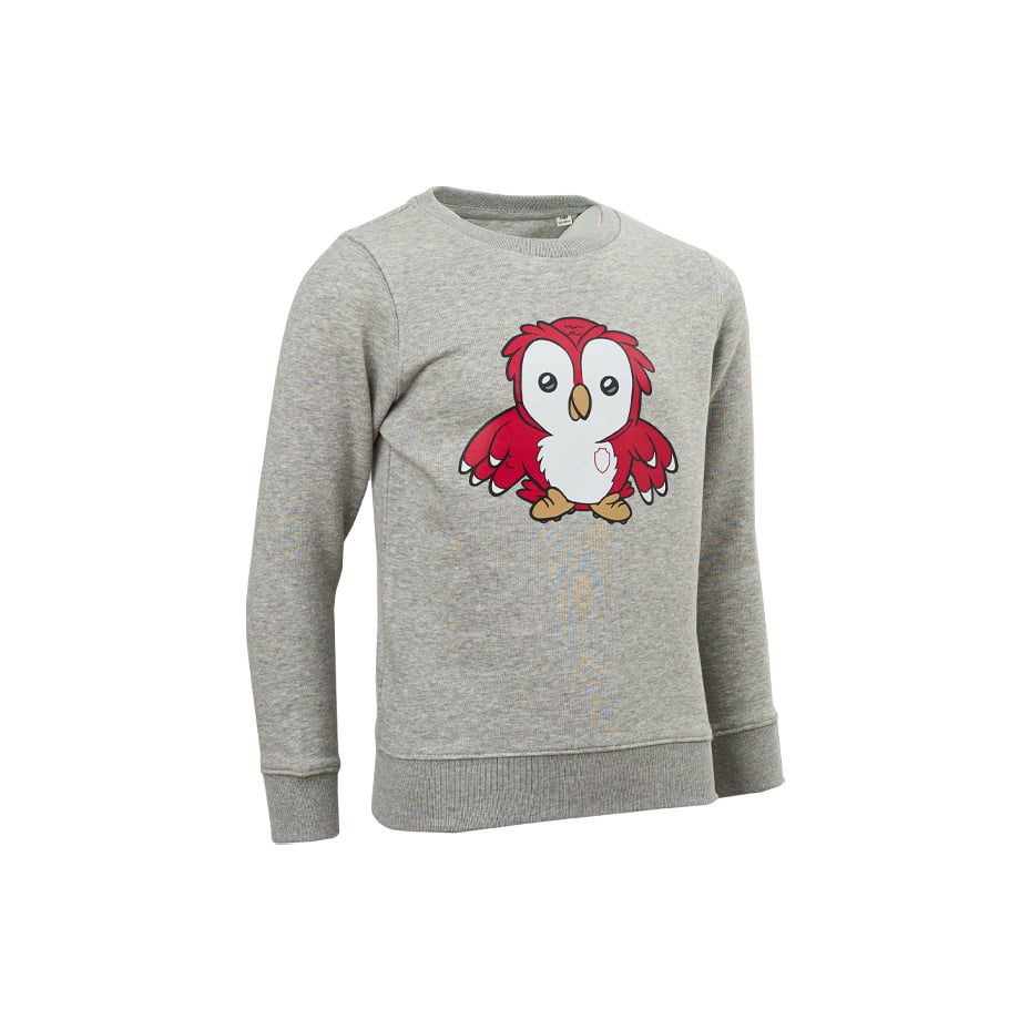 Royal Antwerp Sweater Grijs Bosuil - KIDS