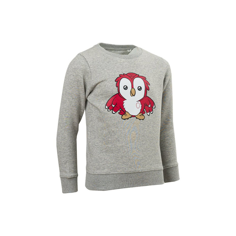 Royal Antwerp Sweater Grijs Bosuil - KIDS