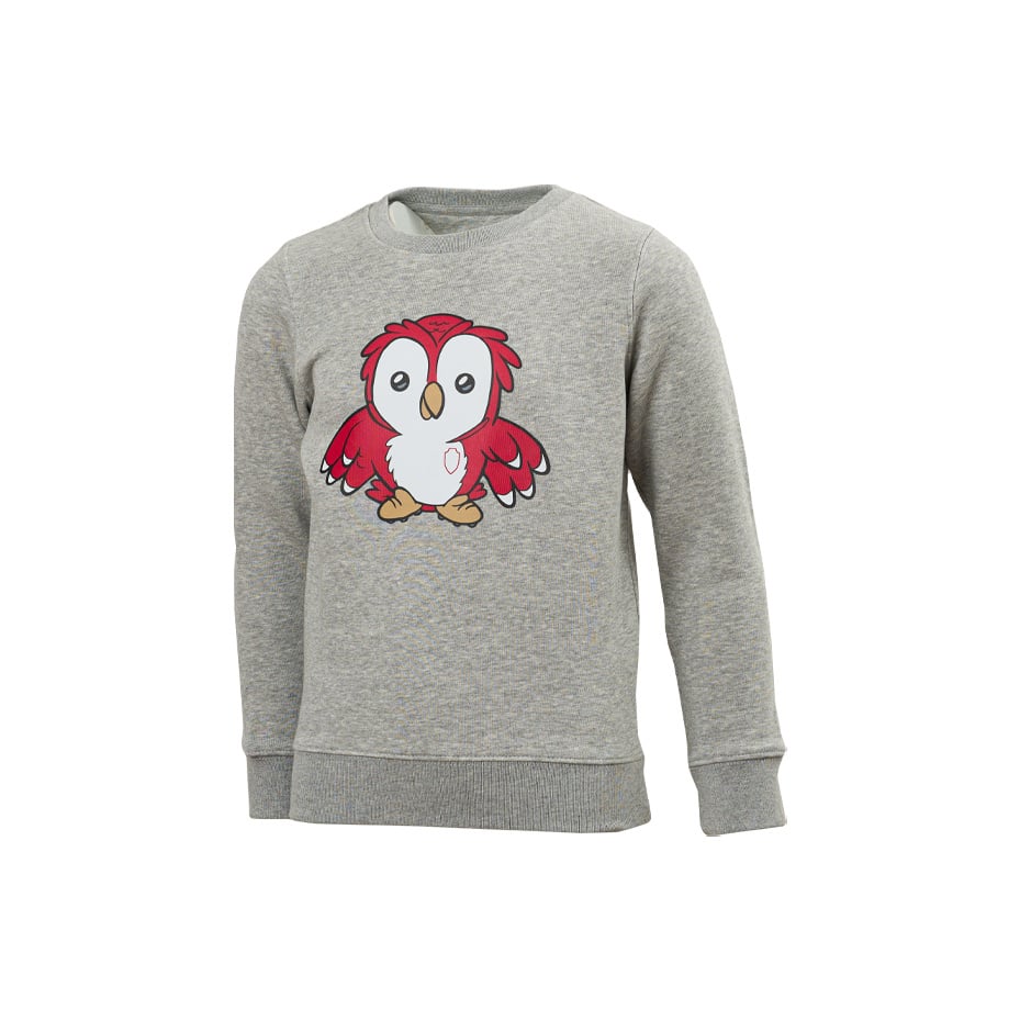 Royal Antwerp Sweater Grijs Bosuil - KIDS