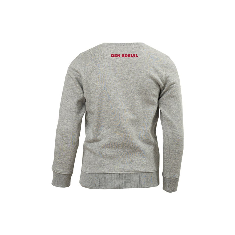 Royal Antwerp Sweater Grijs Bosuil - KIDS