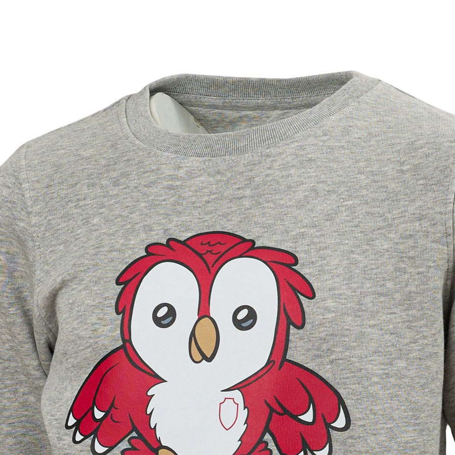 Royal Antwerp Sweater Grijs Bosuil - KIDS