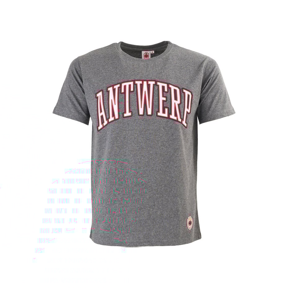 Royal Antwerp T-shirt Grijs Antwerp