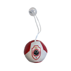Royal Antwerp Minibal zuignap