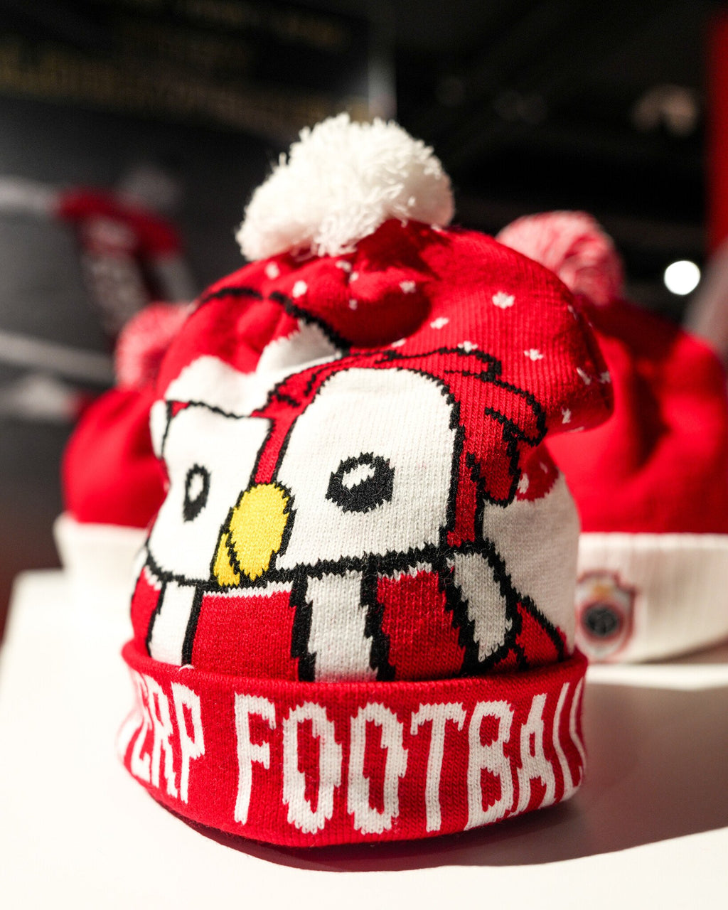 Royal Antwerp Wintermuts Bosuiltje