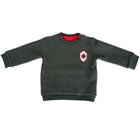 Royal Antwerp Sweater kids grijs geborduurd logo
