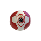 Royal Antwerp Minibal
