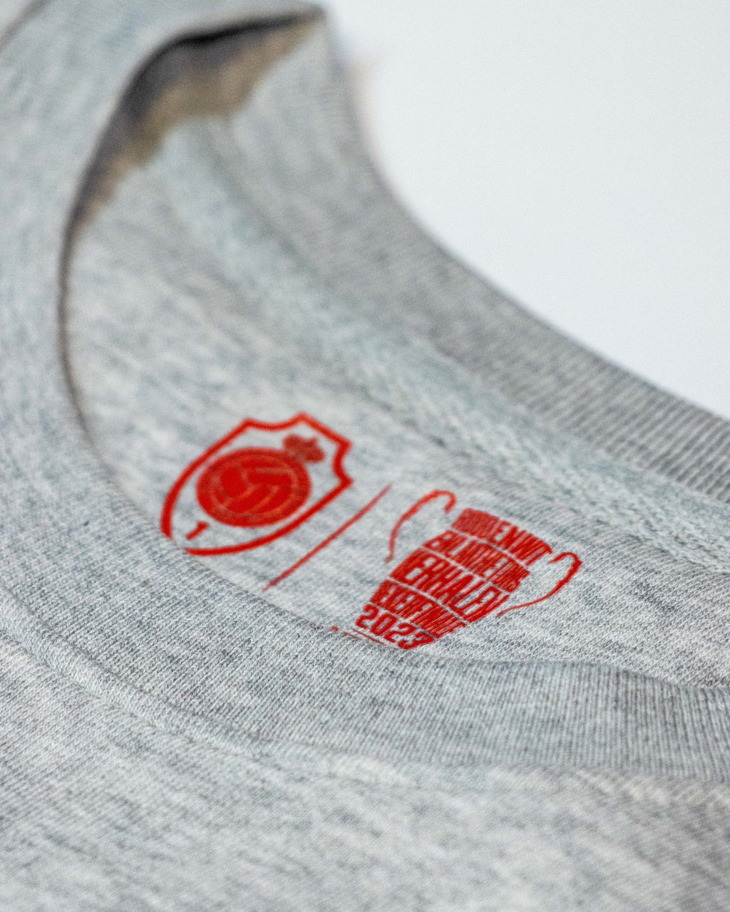 Royal Antwerp Sweater light grey - RAFC Cup Record