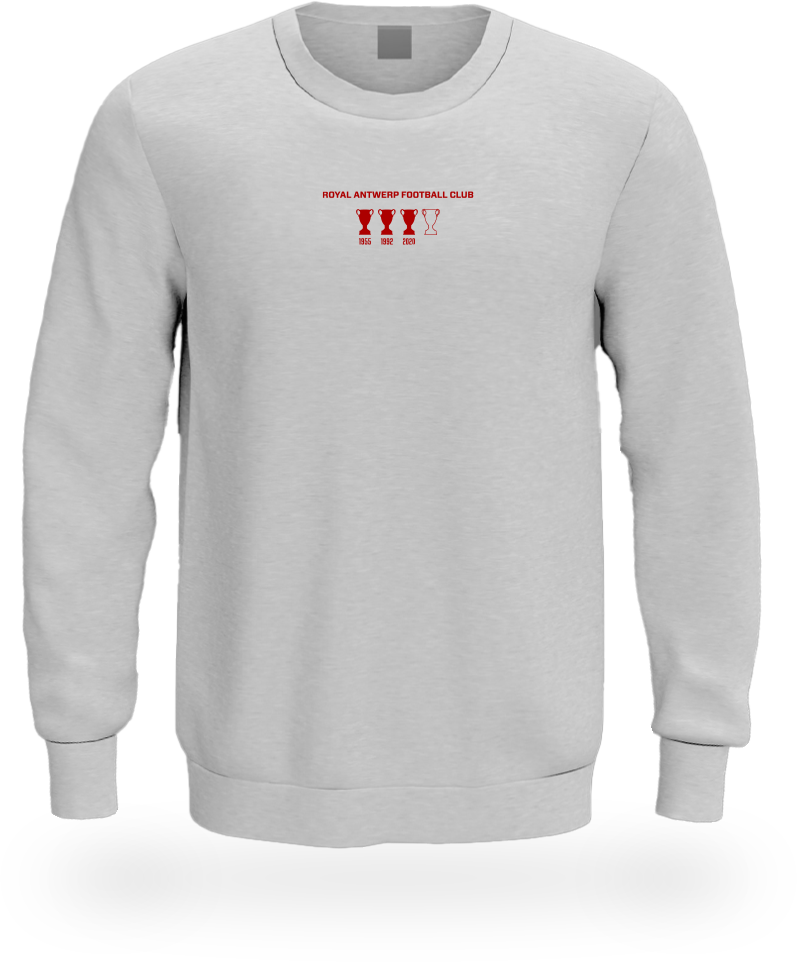 Royal Antwerp Sweater light grey - RAFC Cup Record