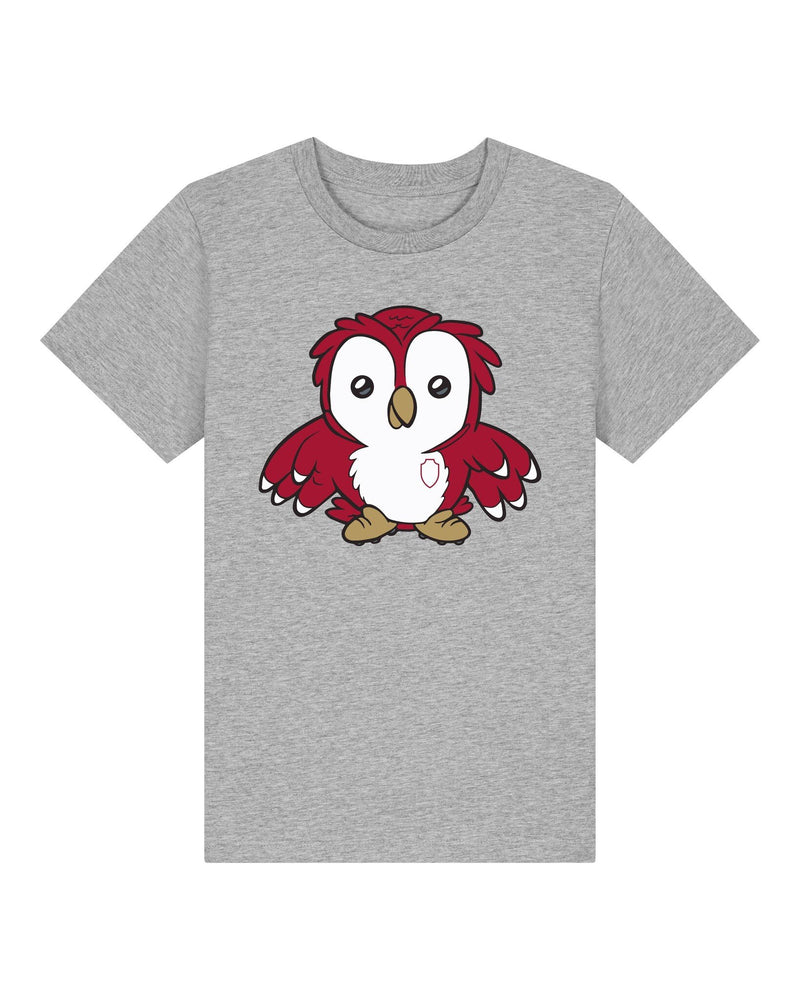 Royal Antwerp T-shirt grijs KIDS - Bosuil